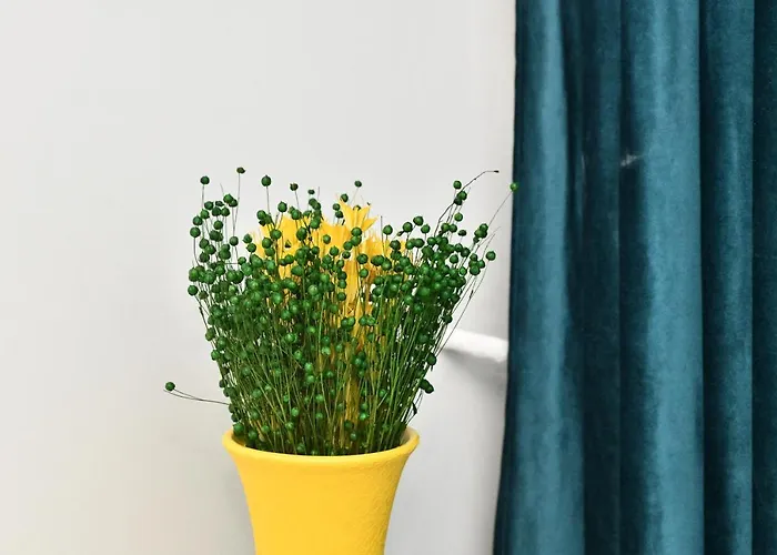 Apartament Transilvania Apartament *