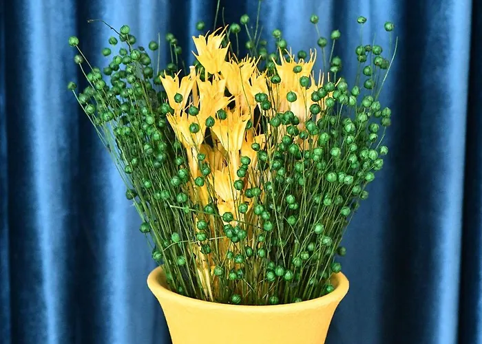 Apartment Transilvania Apartament