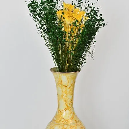 Διαμέρισμα Transilvania Apartament