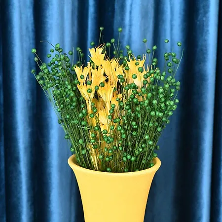 Διαμέρισμα Transilvania Apartament