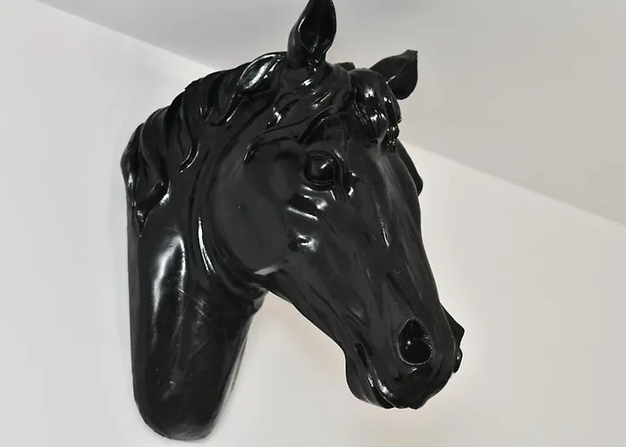 Transilvania Apartament *