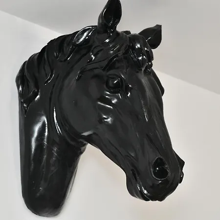 Transilvania Apartament *