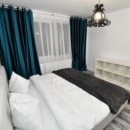 Transilvania Apartament 公寓