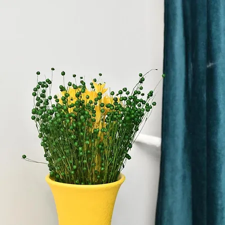 公寓 Transilvania Apartament *